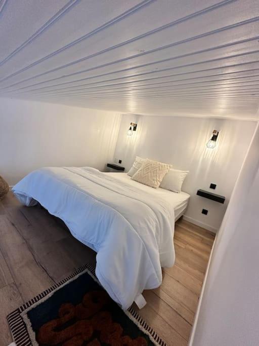Duplex Lumineux Apartamento Nantes Exterior foto